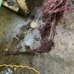 Clogged Drain Cleaning with a Cable Snake - Etobicoke - Jul 2023