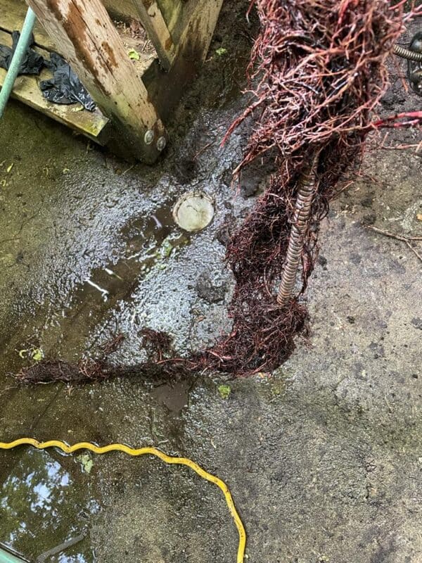 Clogged Drain Cleaning with a Cable Snake - Etobicoke - Jul 2023
