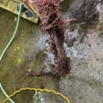 Emergency Clogged Drain Cleaning with a Cable Snake - Etobicoke - Jul 2023