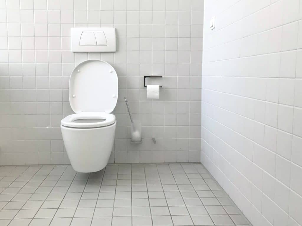 Clogged, leaking toilet Toronto