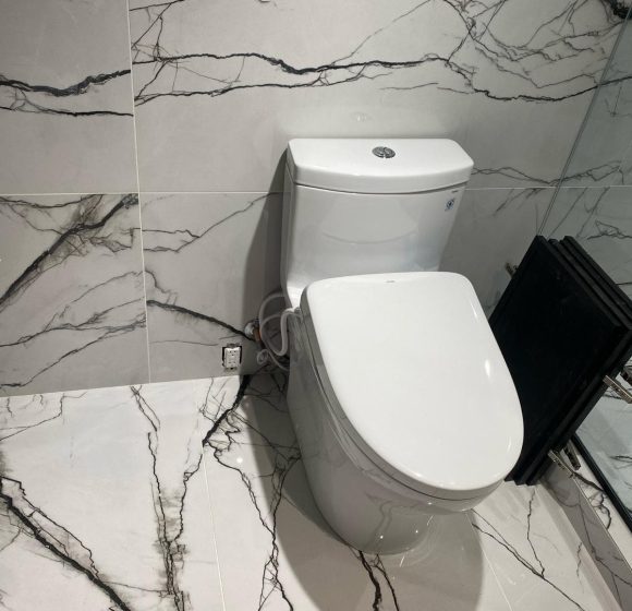 Toilet Installation service in Etobicoke