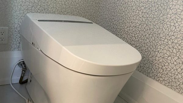 Clogged Toilet Repair