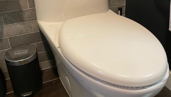 Clogged Toilet Repair