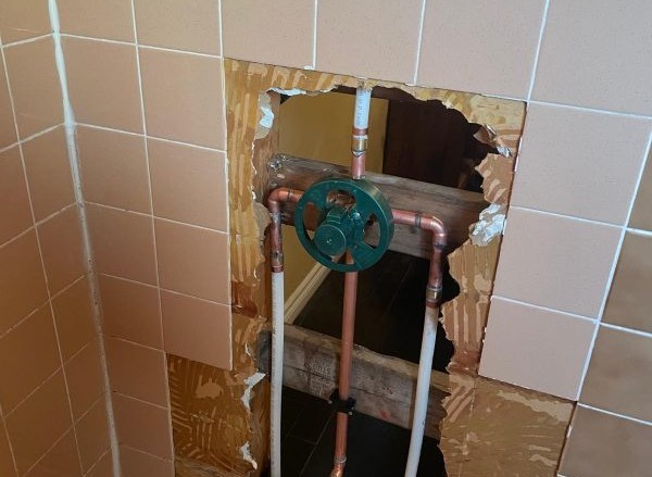 shower cartridge replacement