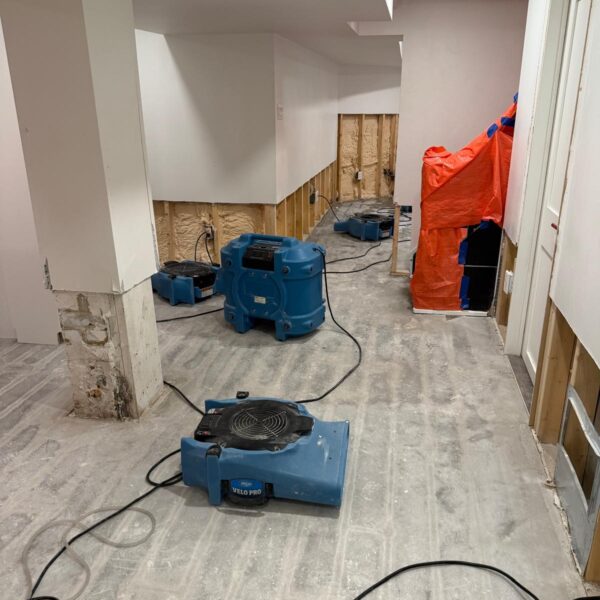 flood damage restoration service in Toronto and GTA by Plumber To Your Door