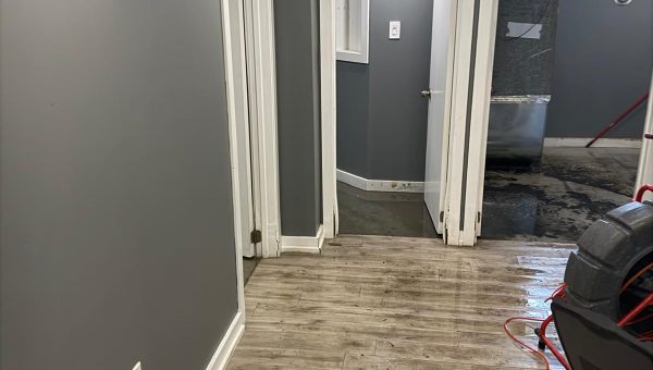 Flood Water Damage Restoration service in Toronto by Plumber To Your Door