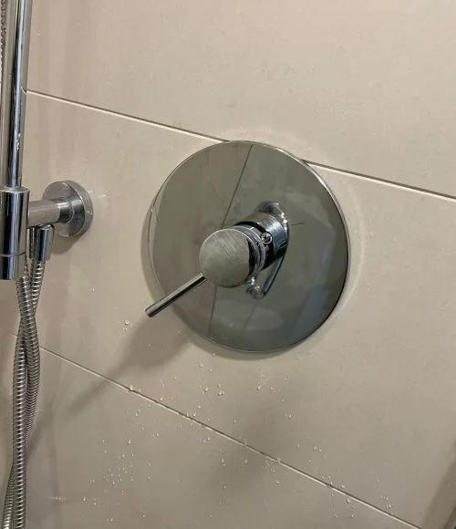 Shower Cartridge-Replacement service in Aurora